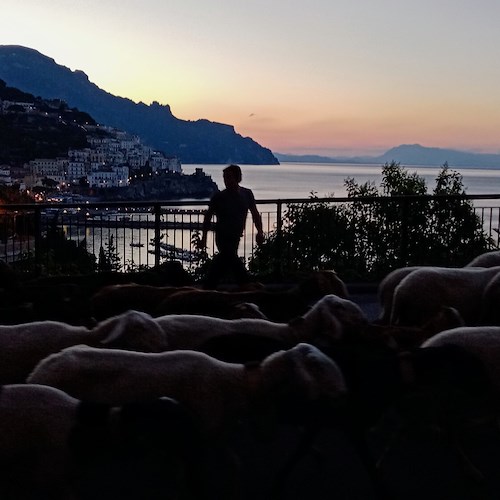 Transumanza ad Amalfi<br />&copy; Abitanti & Viaggiatori Erchie