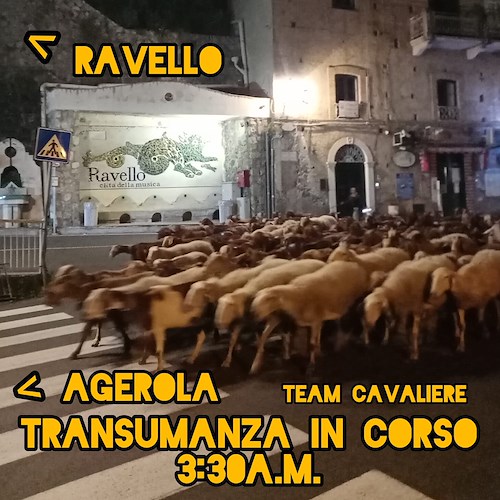 Transumanza a Ravello<br />&copy; Team Cavaliere