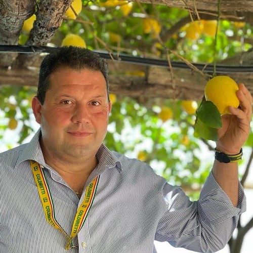 Un limoneto e un orto didattico presso l’asilo nido di Maiori: se ne discute all’Assemblea del Consorzio Limone Costa d’Amalfi I.G.P.<br />&copy; Massimiliano D'Uva