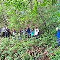 A Tramonti il 25 maggio si cammina tra i borghi: natura, cultura e sapori nel cuore della Costiera Amalfitana