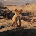 A Vietri sul Mare arriva "Mufasa": stasera il Re Leone per la rassegna “Sotto le stelle... il Cinema”