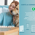 Connectivia porta la vera fibra FTTH in Costiera Amalfitana: velocità, stabilità e affidabilità senza compromessi