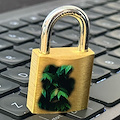 Cybersecurity awareness: 10 regole fondamentali per la sicurezza digitale