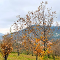 Equinozio d'autunno: perché non cade oggi ma il 23 settembre
