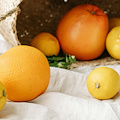 I colori e i sapori degli agrumi a Sant'Agnello: il nuovo workshop Re-Food del GAL Terra Protetta