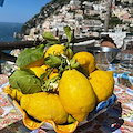 I prodotti tipici della Costa d'Amalfi al centro della festa Slow Food dal 10 al 12 aprile