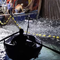Il Gal Pesca Approdo di Ulisse finanzia 50 attività di piccola pesca costiera per la sostituzione delle reti