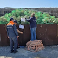 Ischia, sequestrate mille nasse abusive nell'Area Marina Protetta Regno di Nettuno