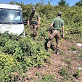 L'Esercito nella Terra dei Fuochi: controlli a Caivano e Grumo Nevano, sequestri e denunce per reati ambientali