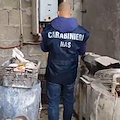 Macellazione abusiva e gravi irregolarità igienico-sanitarie: sequestrato stabilimento a Pagani, carni distrutte