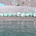 Massa Lubrense, ripulita la spiaggia di Crapolla. Cacace: “Non è possibile intervenire continuamente”