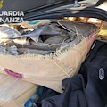 Nascondeva in casa 300 chili di droga, arrestato pusher nell'avellinese