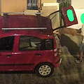 Pagani: denunciato e sanzionato uomo dopo sversamento abusivo 