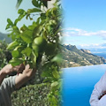 Panorami spettacolari e terrazzamenti coraggiosi: Marco Apicella e Paolo Esposito raccontano il finale di stagione al 'Caruso' di Ravello