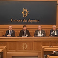 Premio Olio delle Sirene Sorrento 2025: annunciati i vincitori 