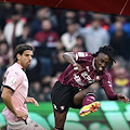Salernitana in caduta libera: sconfitta anche dal Palermo
