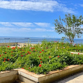 Salerno, stasera riapre lo storico Giardino della Minerva