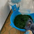 Scoperto opificio clandestino per la produzione di tabacco da narghilè: sequestri e una denuncia nel napoletano