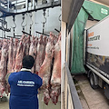 Sequestrate 165 carcasse di ovi-caprini: idonee al consumo, donate al Banco Alimentare di Fisciano