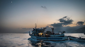 Cambiano i criteri di pesca dalla Costa d'Amalfi all'area Vesuviana: pubblicato il bando per il finanziamento di nuove reti 