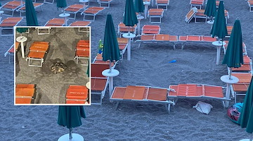 Caretta caretta sulla spiaggia di Maiori: possibile nidificazione nella notte