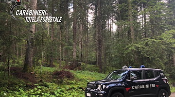Concorso per 12 Ufficiali Forestali dell’Arma dei Carabinieri: domande entro il 3 maggio