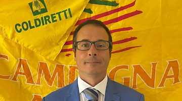 Consorzio “Vita Salernum Vites”: il nuovo presidente è Marco Serra, vice Luigi Scorziello e Prisco Apicella