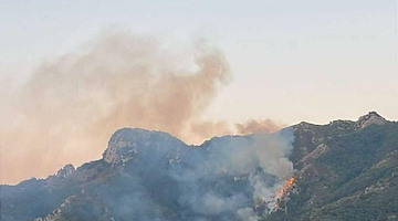 Emergenza incendi nel Salernitano, la Cisl provinciale: "Strategia integrata e più manutenzione per fermare i roghi"