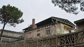 Fonderie Pisano, il 25 luglio a Salerno un incontro pubblico promosso da Salute e Vita