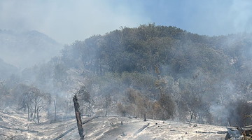 Incendio sul Vesuvio, situazione in miglioramento: proseguono le operazioni da terra e dal cielo