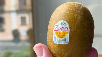 Kiwi, il superfrutto che aiuta cuore, sonno e intestino
