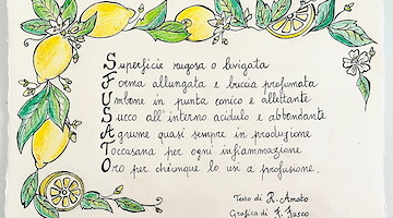Lo “sfusato” diventa poesia e illustrazione: Raffaela Amato e Francesca Fusco omaggiano l’agrume simbolo della Divina