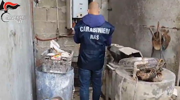 Macellazione abusiva e gravi irregolarità igienico-sanitarie: sequestrato stabilimento a Pagani, carni distrutte