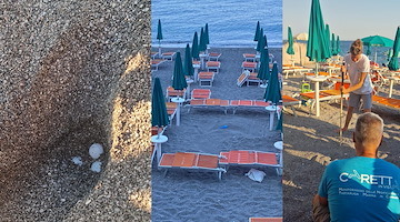 Maiori, confermata la nidificazione della “caretta caretta”: area messa in sicurezza
