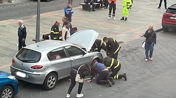 Maiori, Vigili del Fuoco in azione: gattino intrappolato nel vano motore di un'auto /RECUPERATO