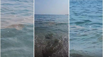 Mare sporco a Maiori, cresce il malcontento tra residenti e turisti