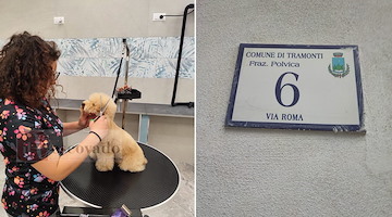 Nasce "ToelettArt" a Polvica, il primo negozio di toelettatura e accessori per cani di Tramonti