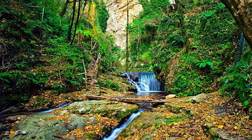 “RiservAmica”, a Scala un’escursione alla Valle delle Ferriere per la Giornata Internazionale della Biodiversità