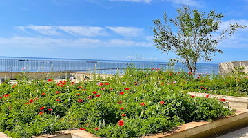 Salerno, stasera riapre lo storico Giardino della Minerva