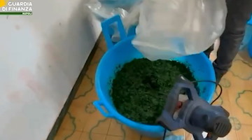 Scoperto opificio clandestino per la produzione di tabacco da narghilè: sequestri e una denuncia nel napoletano