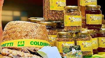 Sicurezza Alimentare, Coldiretti: «Nel 2025 un allarme al giorno»