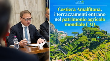Terrazzamenti della Costa d'Amalfi nel patrimonio agricolo mondiale FAO, la soddisfazione di Lollobrigida