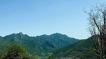 Tramonti, al via la campagna contro l’abbandono delle deiezioni canine: sanzioni fino a 500 euro per i trasgressori
