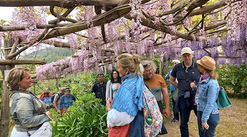 Tramonti, riapre il Giardino Segreto dell’Anima: botanici viennesi inaugurano la nuova stagione tra glicini e camelie