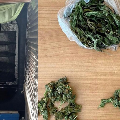 28enne fermato per spaccio nel casertano, individuato grazie all’odore della marijuana fuori dall’abitazione