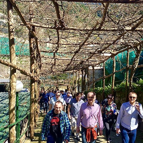 60 ristoratori di Londra innamorati dei limoni di Amalfi