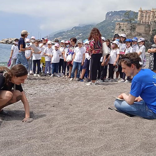 A Maiori bambini e titolari di stabilimenti imparano a riconoscere le tracce dei nidi di Caretta Caretta