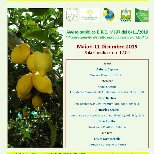 A Maiori la costituzione del Distretto Agroalimentare di Qualità (DAQ) Limone Costa d’Amalfi IGP