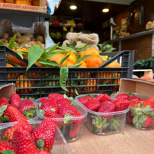 Maiori, lo storico Ortofrutta “Fruit Shop” in Corso Reginna cede l’attività