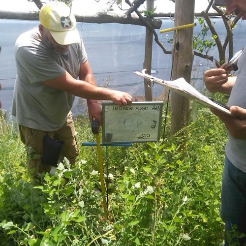 A Minori in corso indagini geognostiche sul territorio, ad oggi eseguiti oltre 150 fiorettature e 50 pozzetti